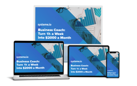 biz coach